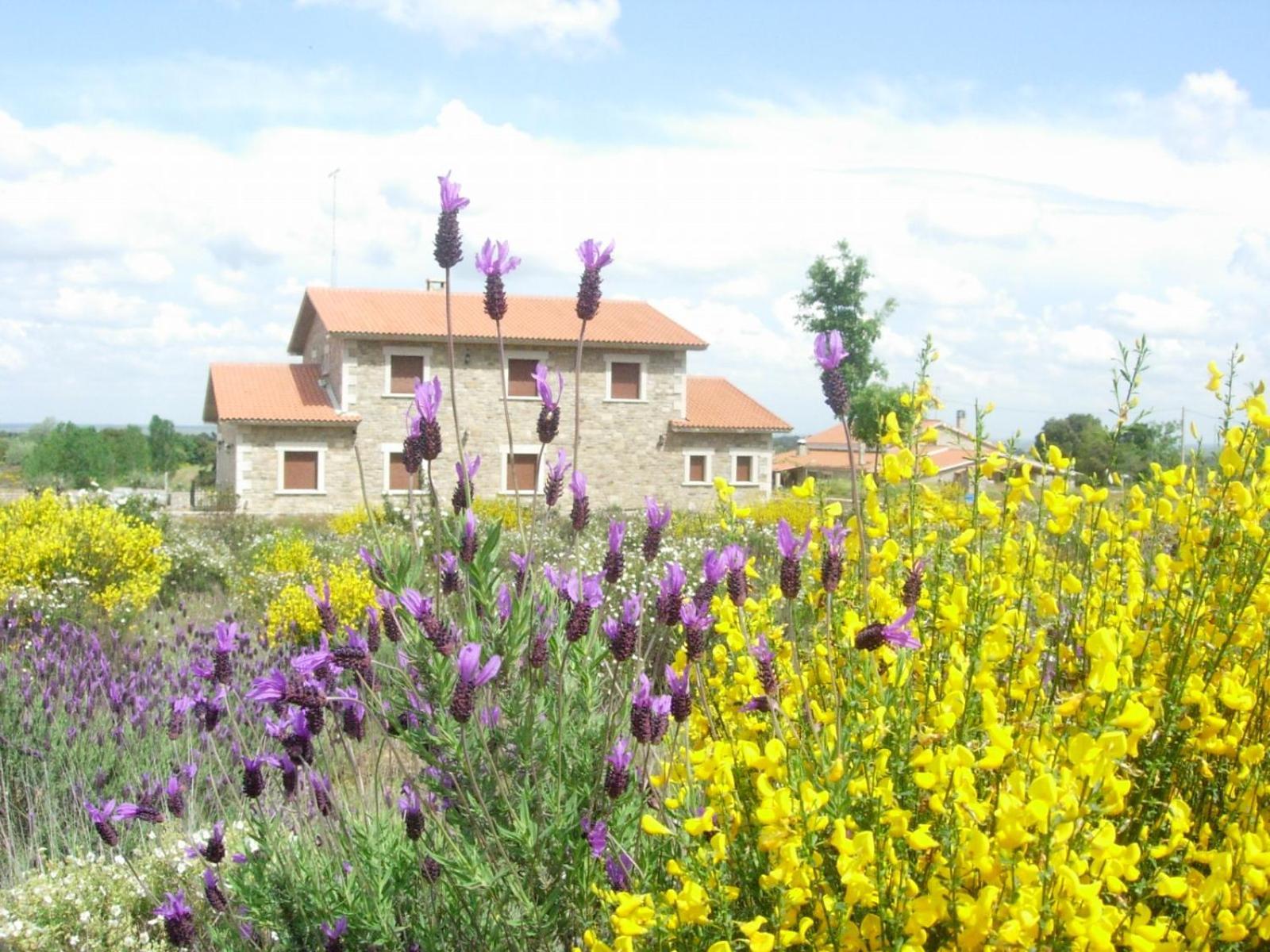 Casas Rurales Arribes Durii Formariz المظهر الخارجي الصورة